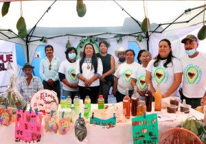 Impulsará SDR a productores agroindustriales de aguacate