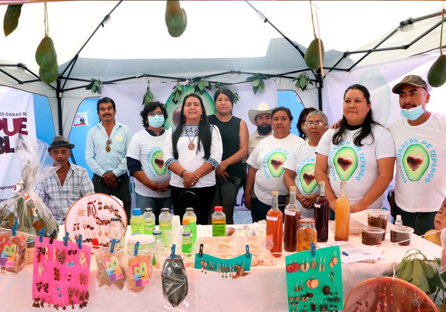 Impulsará SDR a productores agroindustriales de aguacate