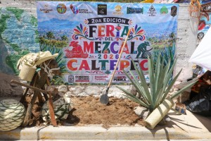 Gobierno estatal impulsa mezcal, artesan&iacute;as y riqueza comunitaria en Caltepec