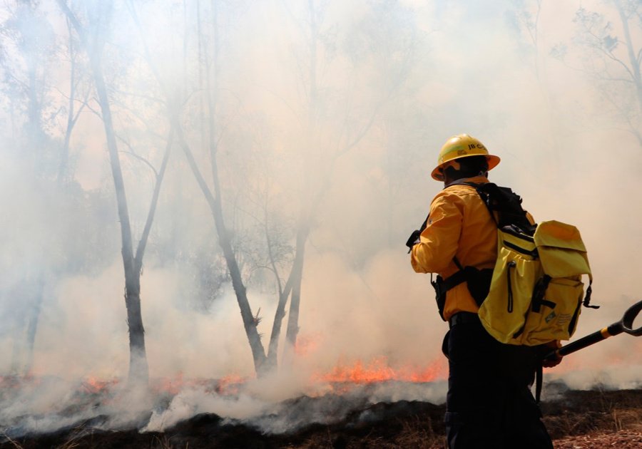 Reporta Medio Ambiente menos daños por incendios forestales