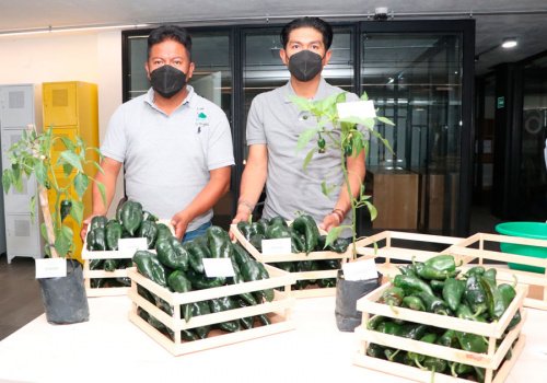 Vinculan SDR y Econom&iacute;a a productores de ingredientes de Chile en Nogada con empresarios