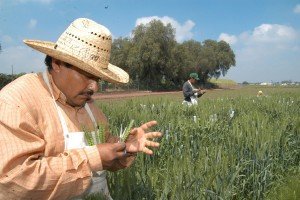 Agr&oacute;nomos piden un Plan Alimentario 2030-2050