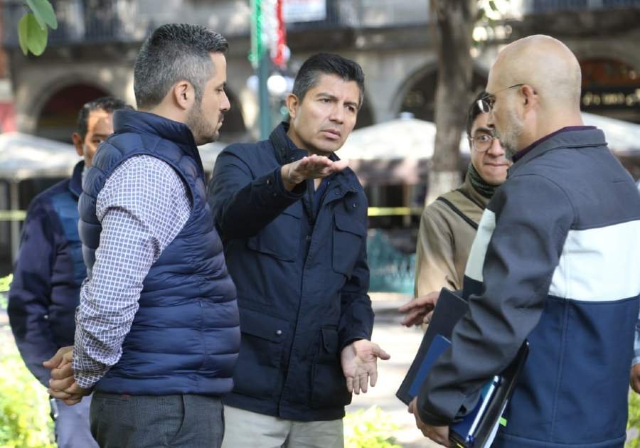 Reitera ERP apoyo a familia de menor muerto por &aacute;rbol