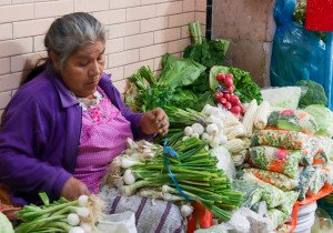 Revisan Trabajo y universidades situación de informalidad y trabajo digno