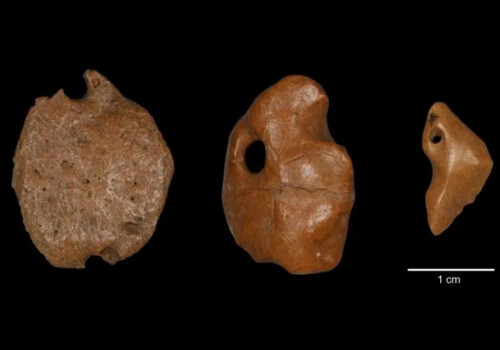 Aretes de hace 25 mil a&ntilde;os sugieren que el hombre lleg&oacute; a Am&eacute;rica antes de lo pensado