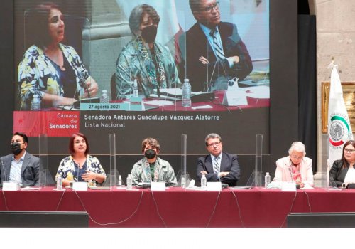 Reclama Delfina G&oacute;mez a la CNTE