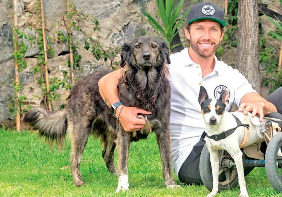Patrick Loliger, el encantador de perros