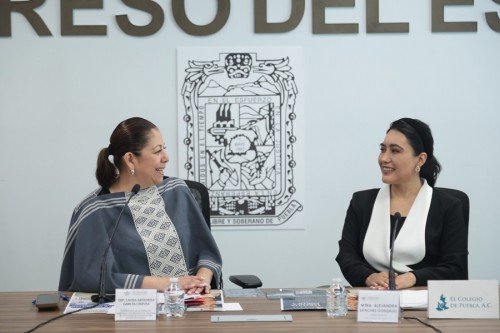 Congreso fortalece trabajo a trav&eacute;s de investigaci&oacute;n y colaboraci&oacute;n de juventudes: Laura Artemisa