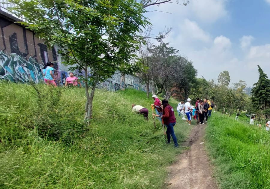 Reforesta SEDEMA barrancas de la Ciudad de M&eacute;xico
