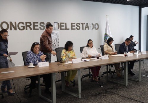 Aprueba Comisi&oacute;n del Congreso exhorto para que municipios promuevan bienestar animal