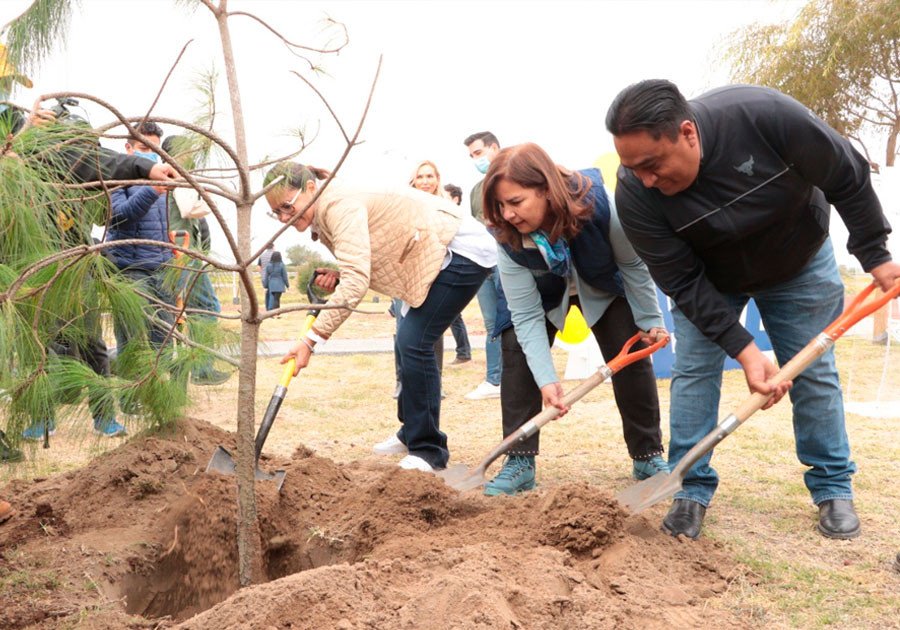 Cumple Medio Ambiente 76 jornadas de reforestaci&oacute;n, suman 200 mil plantas