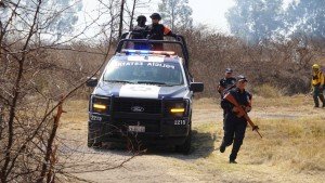 Labores preventivas, permiten resultados exitosos de la Policía Forestal