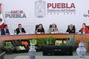 Impulsa Puebla la soberanía alimentaria de la mano de Claudia Sheinbaum: Ana Laura Altamirano