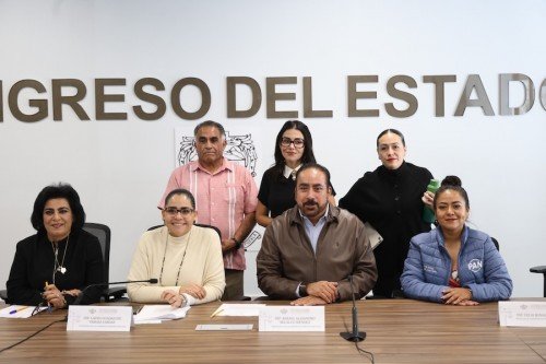 Avala Comisi&oacute;n del Congreso exhorto para fortalecer la vigilancia en el transporte de combustibles