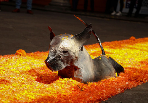Inauguran Cultura y Turismo Corredor de Ofrendas