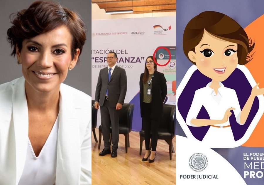 Mónica el avatar y el desvío de recursos del TSJ