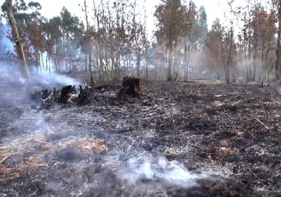 Incendios forestales Puebla ilustración 