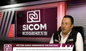 Alerta Sanidad por casos de gusano barrenador en mascotas