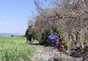 Asesinan a adulto mayor en campos de cultivo de Izúcar