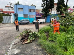 Refuerza Gobierno de la Ciudad programa “Limpiando bien y a la primera