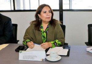 Retirarán 2 espectaculares y clausurarán 31 en Puebla: SMADSOT