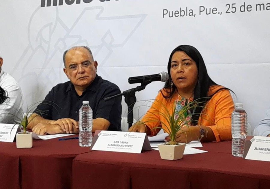 Puebla, principal productor nacional de blueberry orgánico: SDR