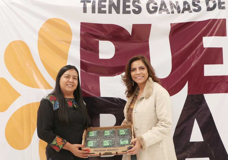 Inicia exportaci&oacute;n de blueberry org&aacute;nico de Zacatl&aacute;n a Estados Unidos y Canad&aacute;