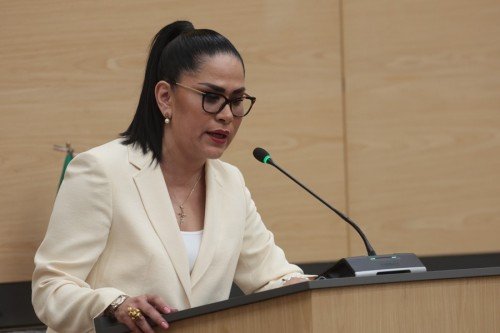 Impulsa diputada Fedrha Suriano programas para mejorar la conectividad y digitalizar tr&aacute;mites