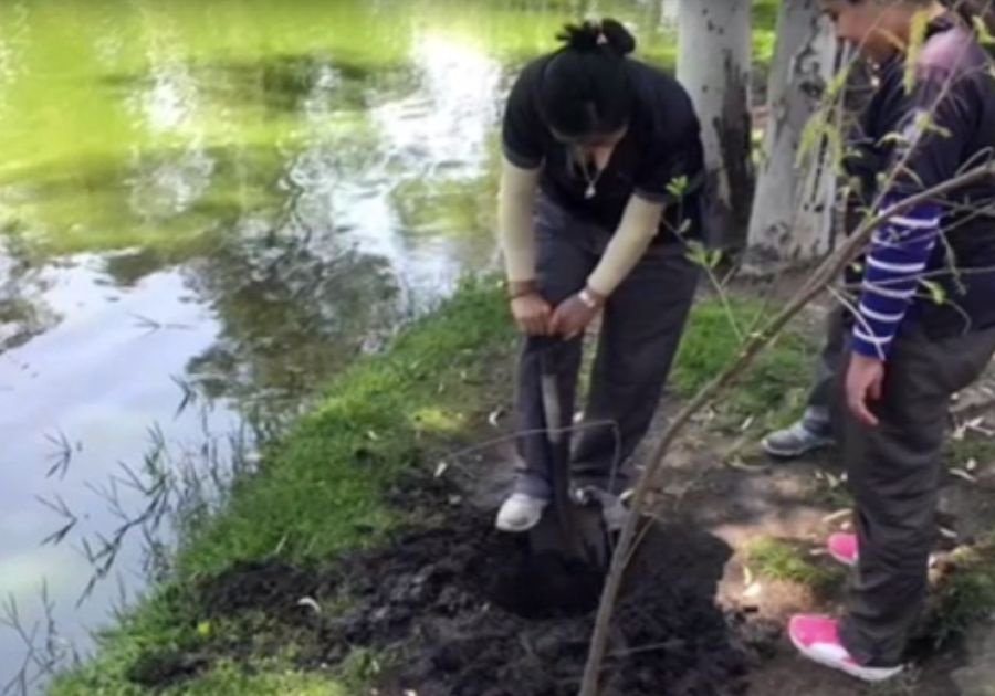 Siembra miles de &aacute;rboles la BUAP en su Ecocampus