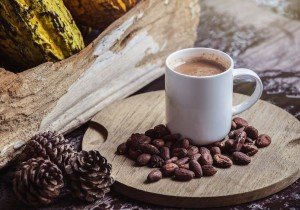¿Se imagina un mundo sin chocolate, café y cerveza?
