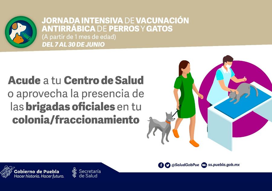 Continúa Salud con campaña antirrábica en Puebla