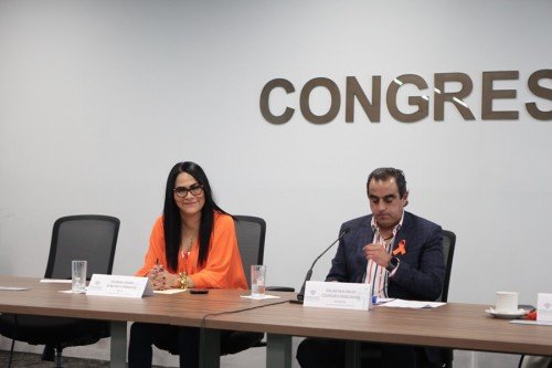 Avala Comisión del Congreso exhorto para evitar quema irregular de terrenos aledaños a carreteras