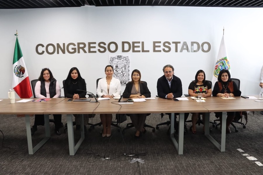 Aprueba Comisión del Congreso exhorto para fomentar estancias públicas para personas adultas mayores