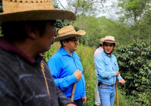 Entrega Turismo reconocimientos a participantes de Ruta del Café