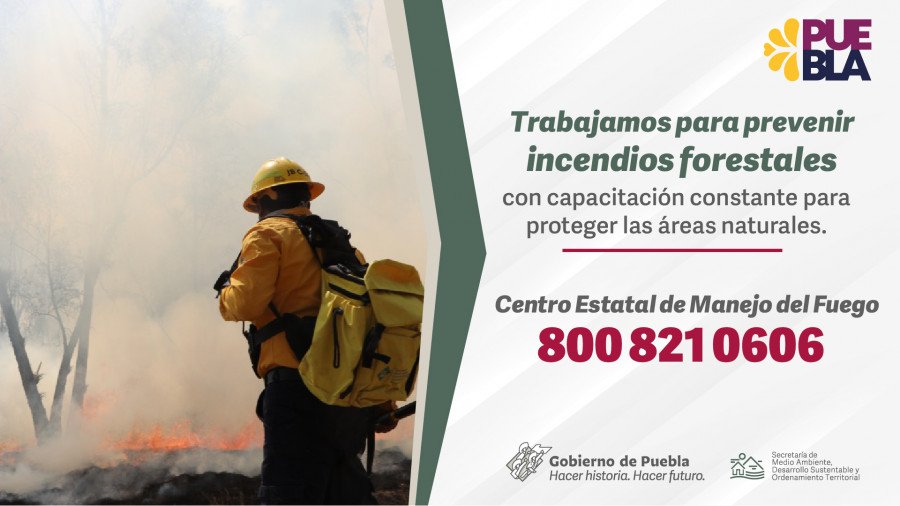 Incendios forestales