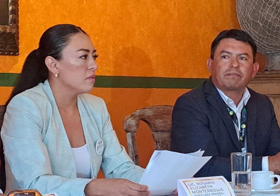 Exporta Puebla más de 20 mil toneladas de cilantro a EU