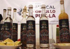 Respalda SDR a productores de mezcal para Concurso Nacional de Marcas