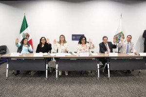 Aprueba Comisión del Congreso exhorto para que municipios resguarden y den en adopción a perros en situación de calle