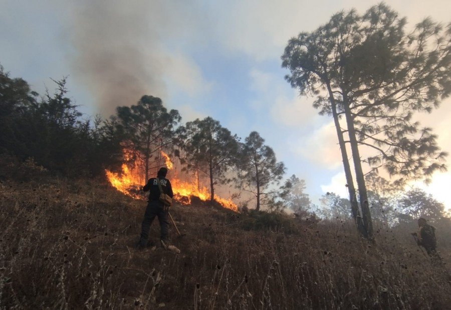 Reporta Medio Ambiente avance en control del incendio forestal en Vicente Guerrero