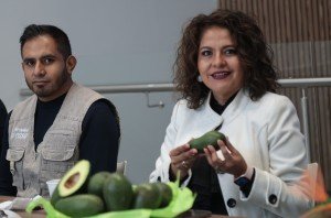 Promueven en el Congreso la Feria del Aguacate