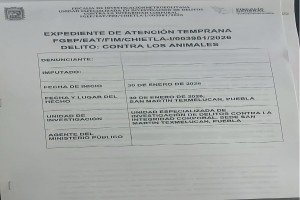 Present&oacute; Bienestar Animal de Texmelucan denuncia contra maltrato de seres sintientes