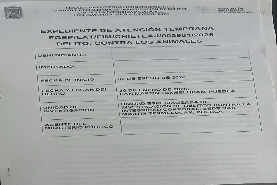 Present&oacute; Bienestar Animal de Texmelucan denuncia contra maltrato de seres sintientes