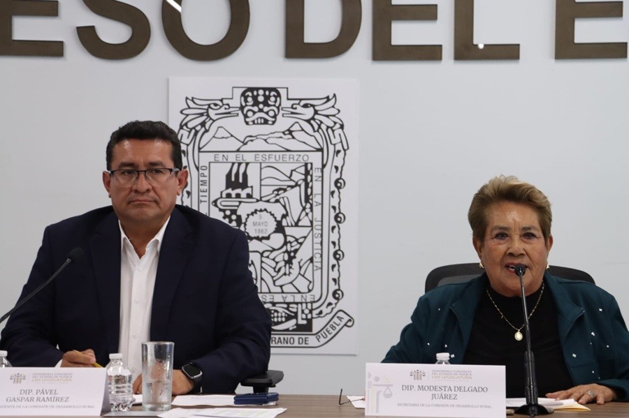 Aprueba Comisi&oacute;n del Congreso exhorto para prevenir y mitigar los riesgos de p&eacute;rdida de cosechas ante contingencias agroclim&aacute;ticas