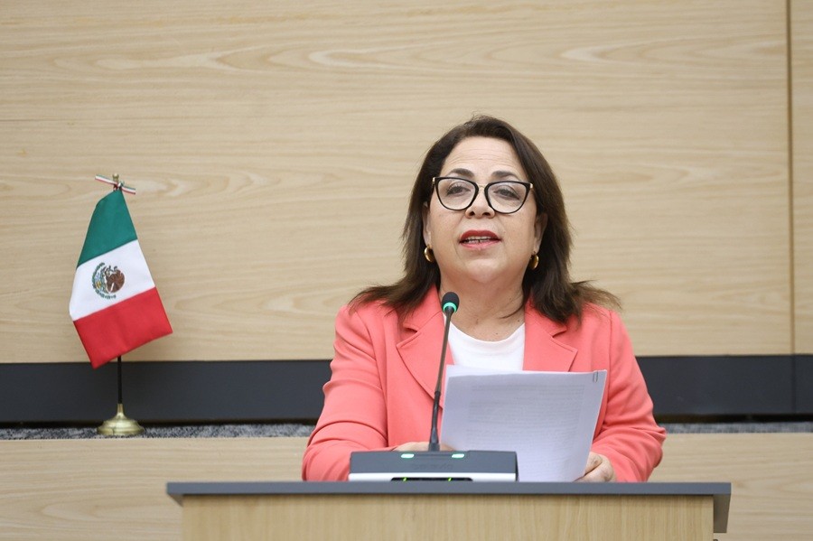 Diputada Soledad Amieva impulsa iniciativa para fortalecer la protecci&oacute;n de menores en el entorno digital