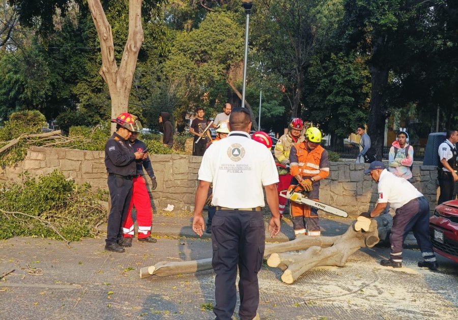 Vientos generan polvaredas en la zona metropolitana de Puebla