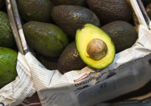 Pega suspensión de inspecciones de aguacate y mango a México y Estados Unidos