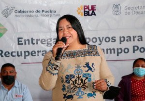 Tras solicitud en Martes Ciudadano, SDR fortalecerá apoyo para productores frutales