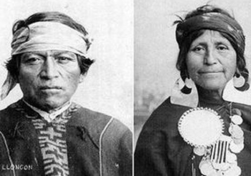 Mapuches