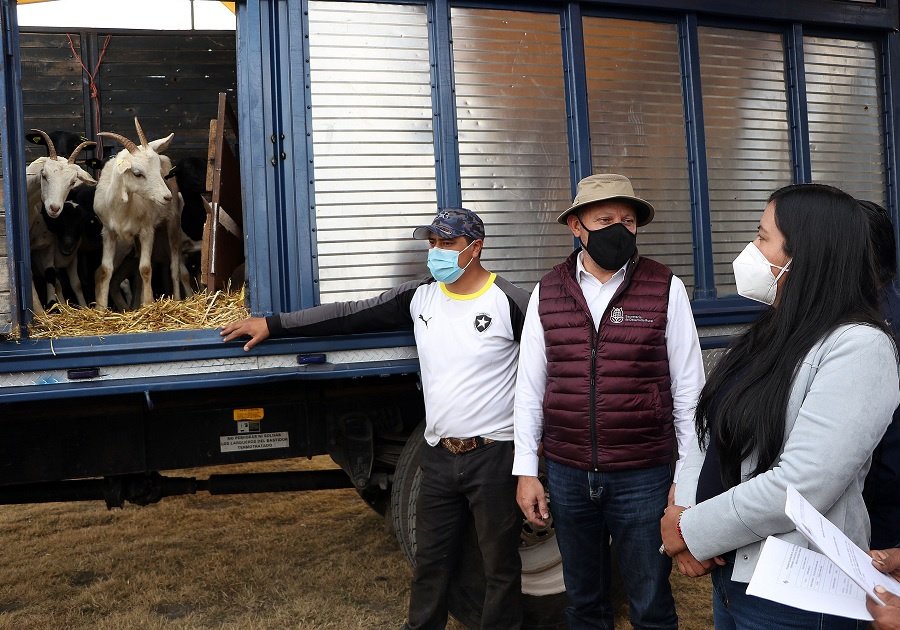 Ana Laura Altamirano