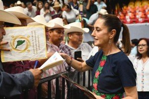 Sonora recibirá 831 mdp para producción de carne de calidad